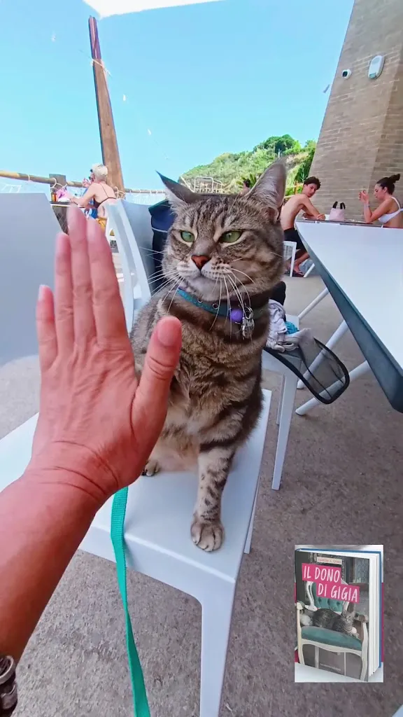 Gigia TravelCat_Camping Restaurant Di Giobbe_Ortona_review