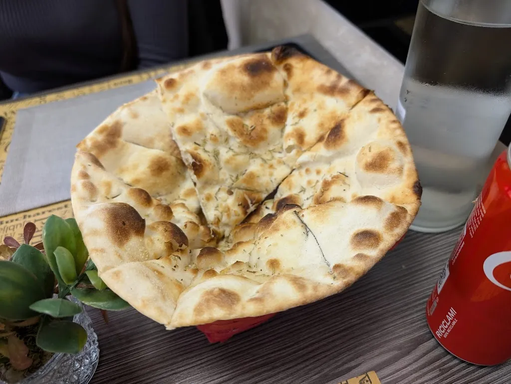 Gabriela Isabel Fuentes Llopis_Coccinella Di Emil_Fiorano_review