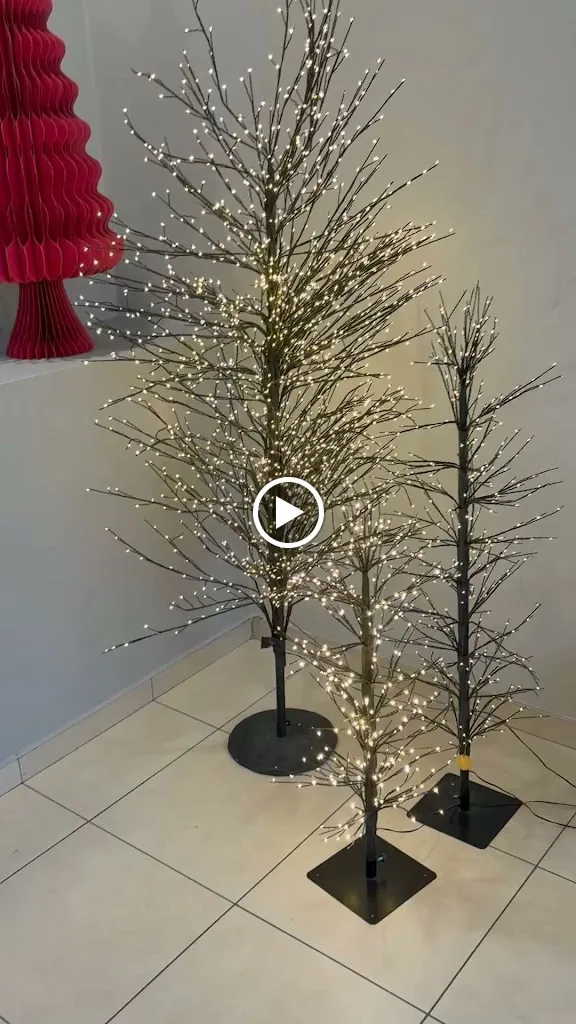 Pizzeria S.Lucia restaurant in Finale Emilia