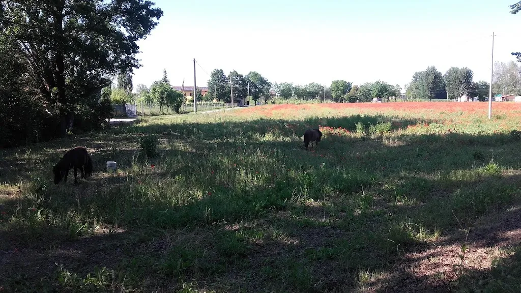 agriturismo santa maria_Finale Emilia_slider_image_2