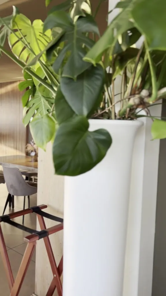 Il Vistamare Restaurant_Fogliano_slider_image_2