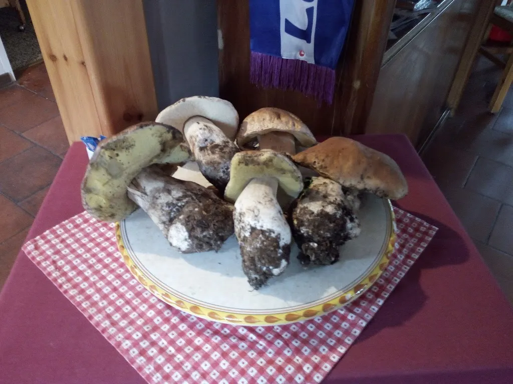 Menu_Bar Osteria L'Alpino_Fiumalbo-Dogana_image_5