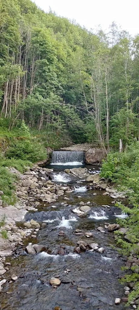 Caterina Pittini_Albergo La Carinzia_Fiumalbo-Dogana_review