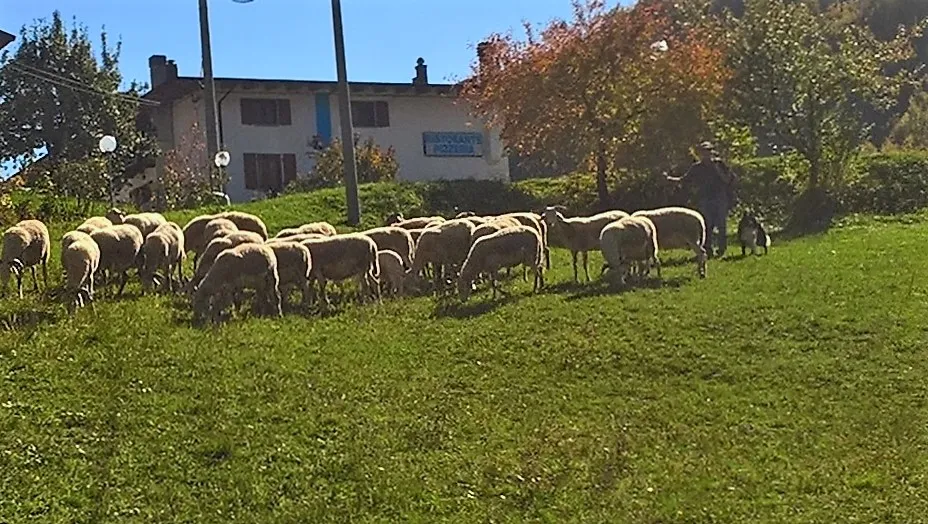 Casablanca_Fiumalbo-Dogana_slider_image_3