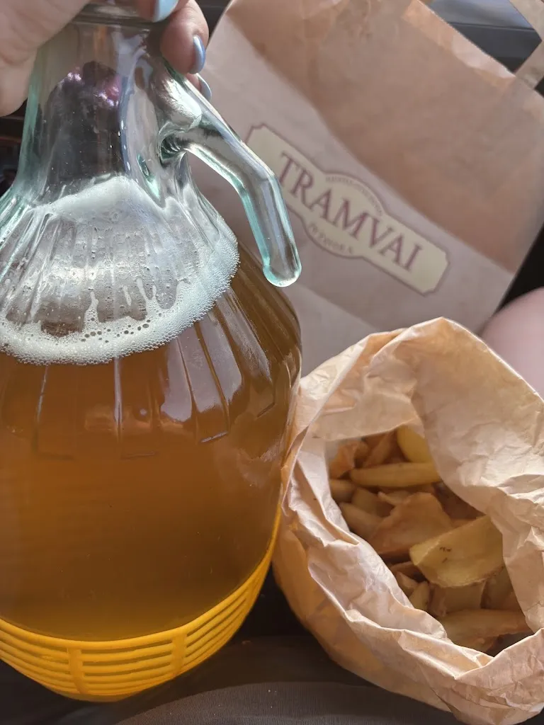 михаела кандит_Tramvai Fidenza_Fidenza_review