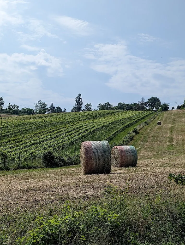 Angelica M_Farm Alba Del Borgo_Fidenza_recensione