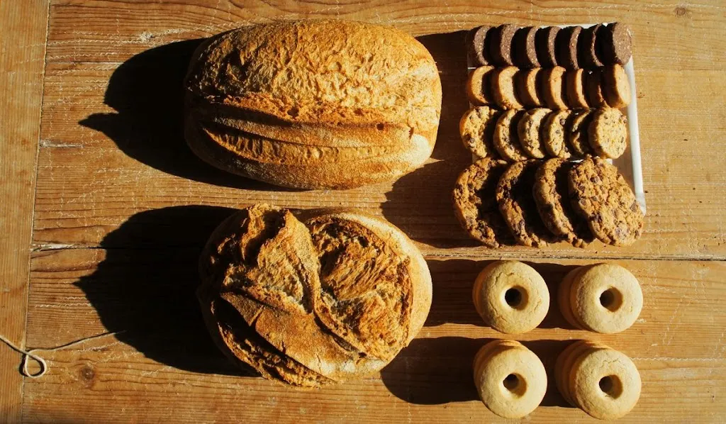 The Fornio Woods_Fidenza_slider_image_2