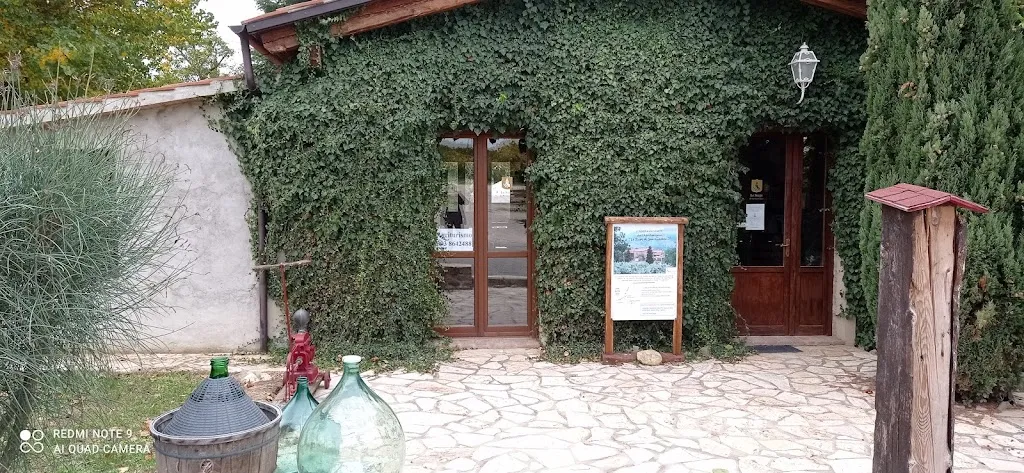 G G _Trattoria La Cantinetta Fontanelice_Fontanelice_review