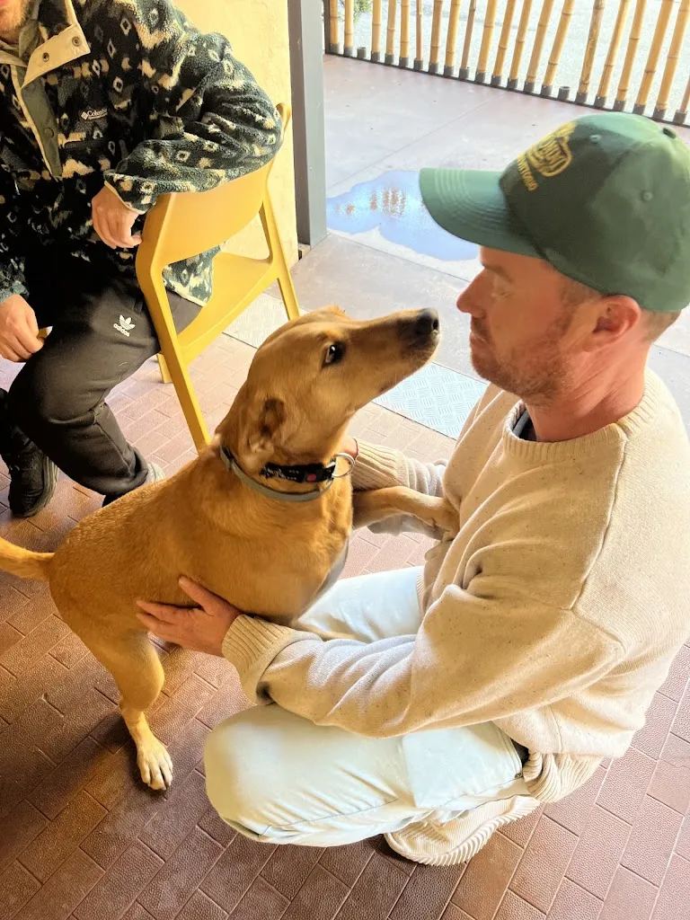 Pascha Forster_Cibarium Salsamenteria_Fontanellato_recensione