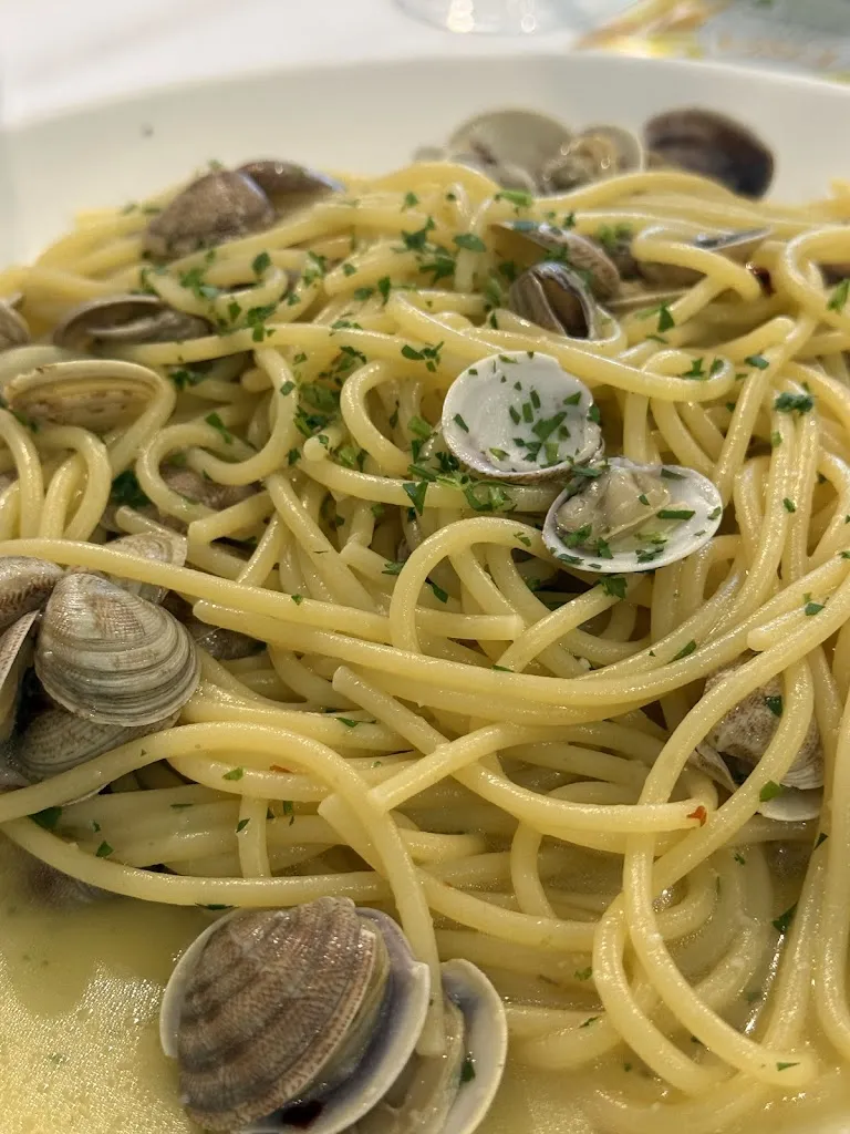 Mauro Burani Artist_Rosa Dei Venti_Forlimpopoli_review