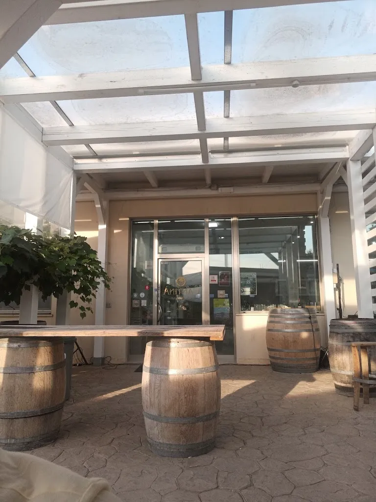 Antonio Magister Massari_Cantina Ortona_Ortona_review