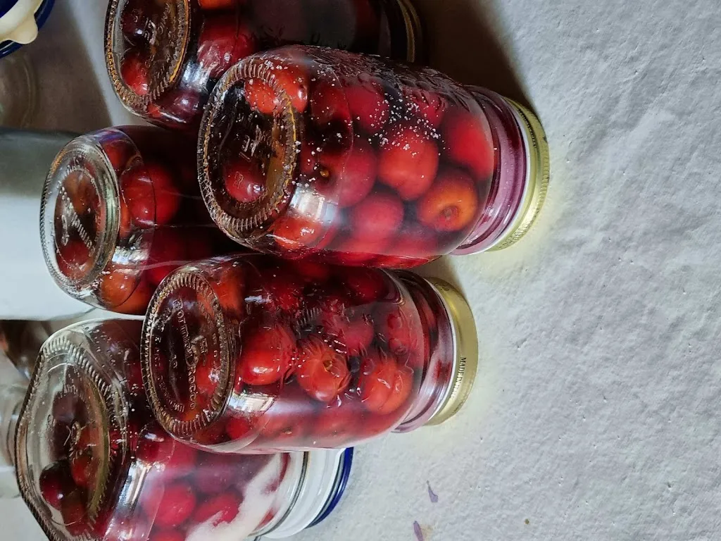 Menu_Ristorante Luna Nuova_Gragnano Trebbiense_image_9