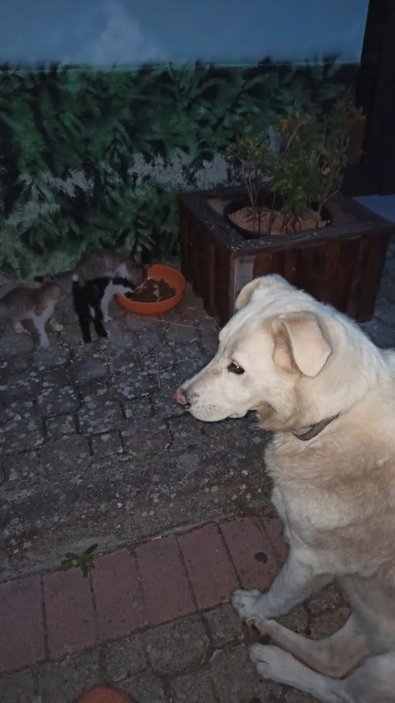 Giacomo Girelli_Rifugio Silone_Pescina_review