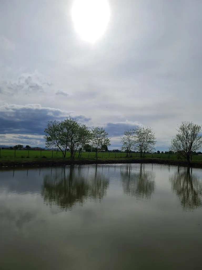 Claudio Gabbi_Ca Di Matti_Granarolo_review