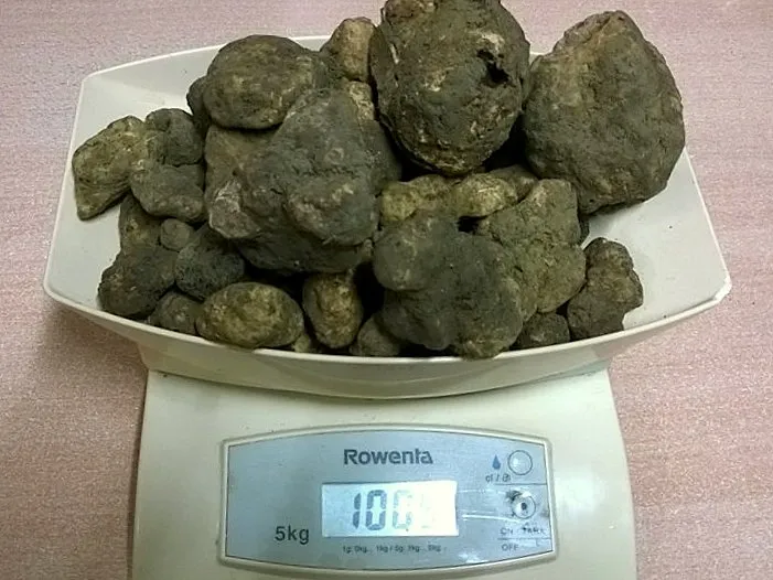 Bar Trattoria Pina_Grizzana_slider_image_3