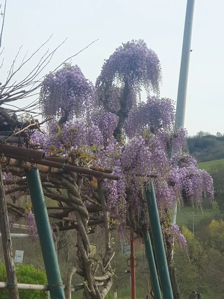 Bar Trattoria Ritrovo al Ponte_Grizzana_slider_image_3