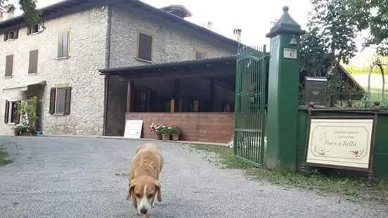 Agriturismo Nonna Nella_Guiglia_slider_image_2