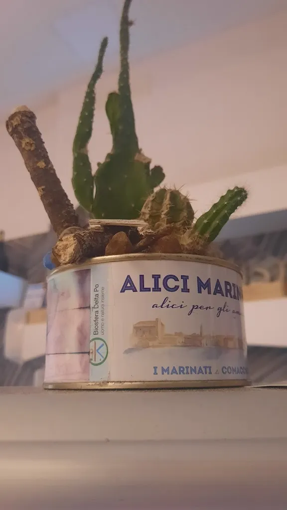 valeria mattuzzi_Osteria La Saraghina_Lagosanto_review