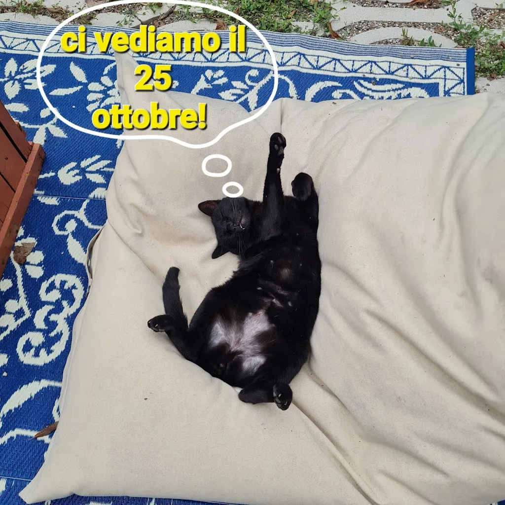 Locanda dei Pontieri - Ostello del Po Guastalla_Guastalla_slider_image_3