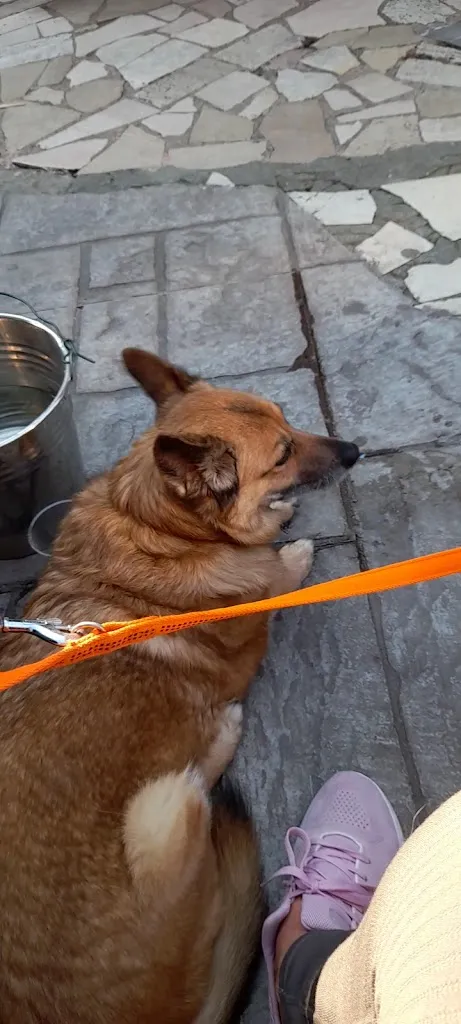 Peace In Po_Guastalla_slider_image_2