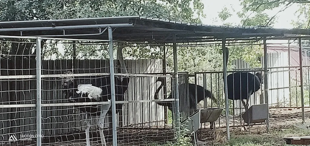 B&B Valle 5°_Guastalla_slider_image_2