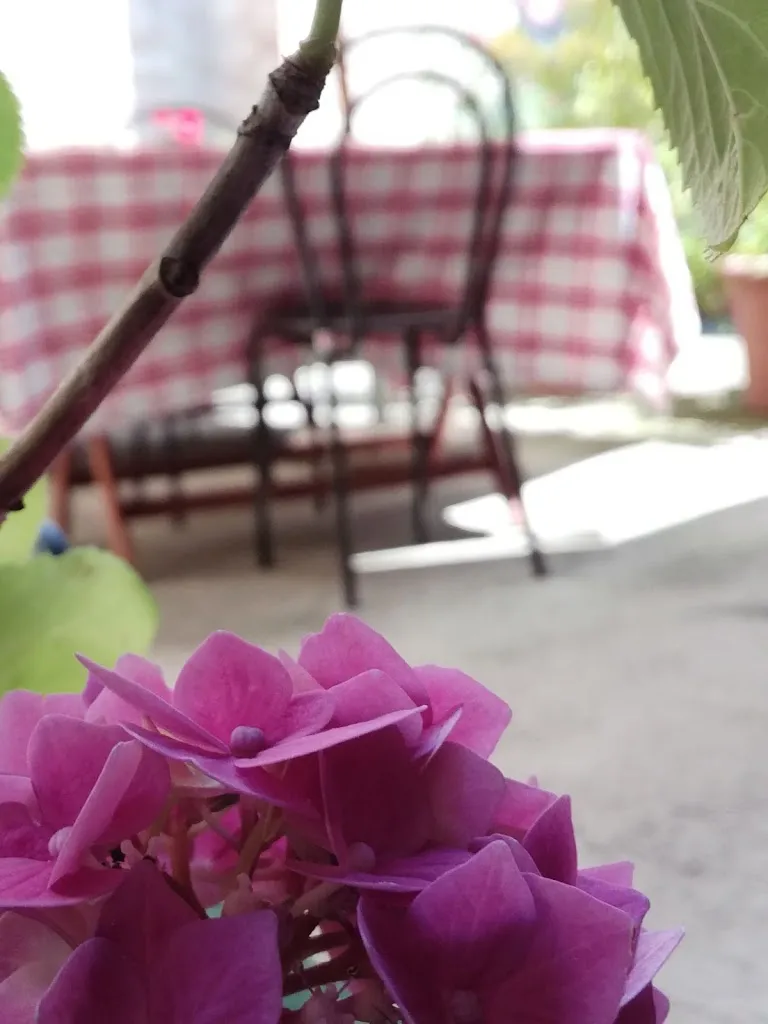 Osteria La Maesta'_Langhirano_slider_image_3