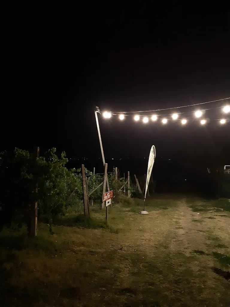 Caterina Raffaini_Agriturismo Podere Montefiore_Langhirano_review