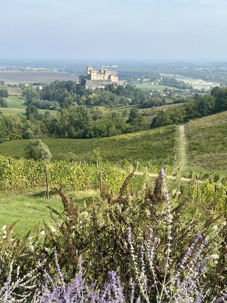 Giorgia Morotti_Il Cortile Agriturismo Dall'Asta_Langhirano_review