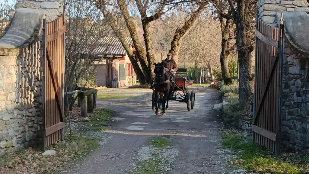 Ristorante Oasi Bianca_Lesignano de'Bagni_slider_image_2