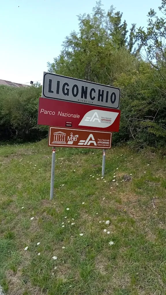 Sandro Baroni_Bar Pizzeria Il Faro_Ligonchio_recensione