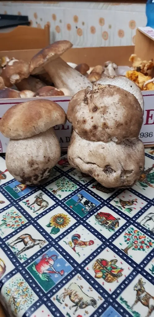 Menu_Locanda Tini_Ligonchio_image_7