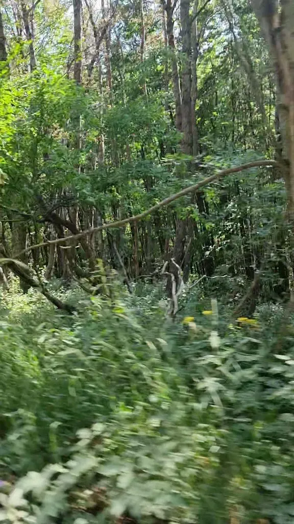 Yeg “aneh” Im_Rifugio Battisti_Ligonchio_review