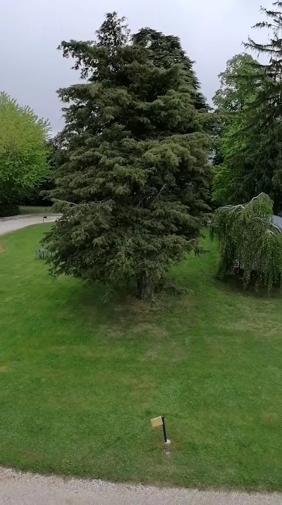 Palazzo Loup_Loiano_slider_image_2