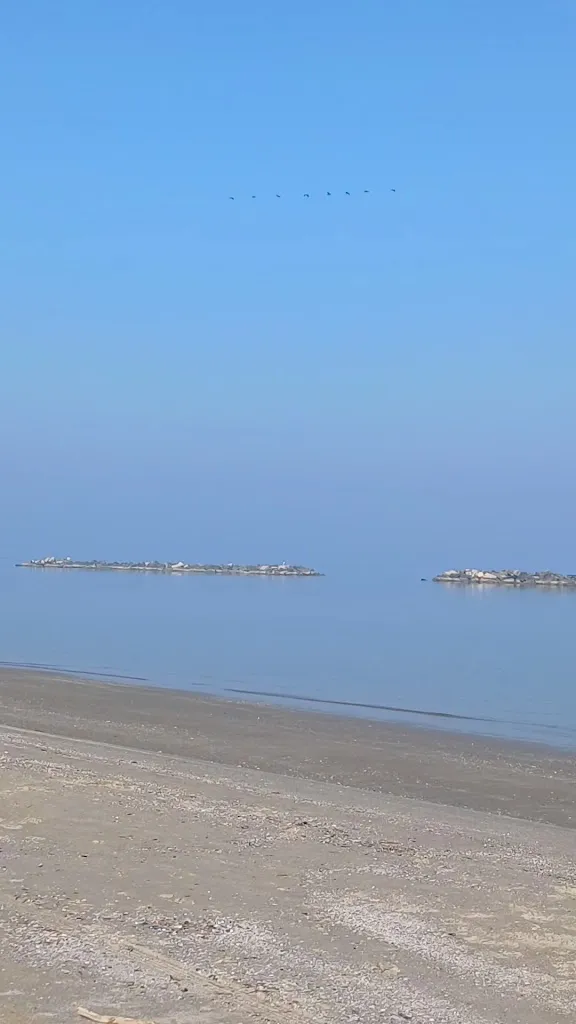 Destiny Ray_Da Nico_Lido Adriano_review