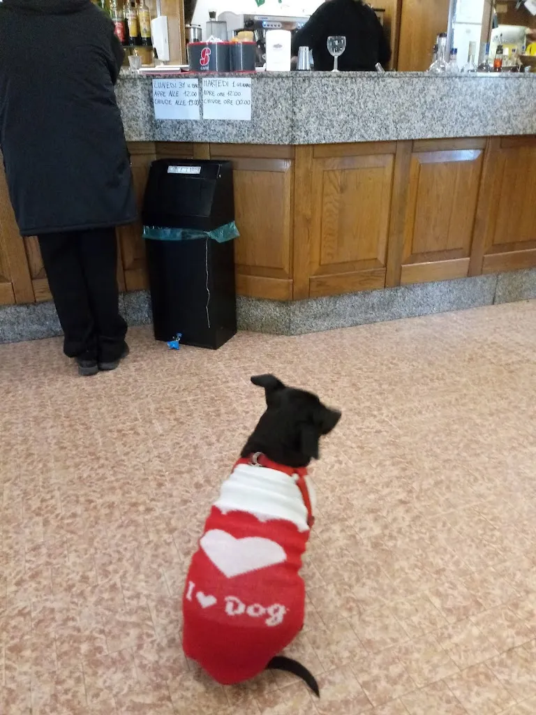 Cazzato Anna restaurant in Longastrino