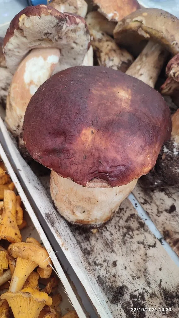 Menu_Il Derna_Lugagnano Val d'Arda_image_8