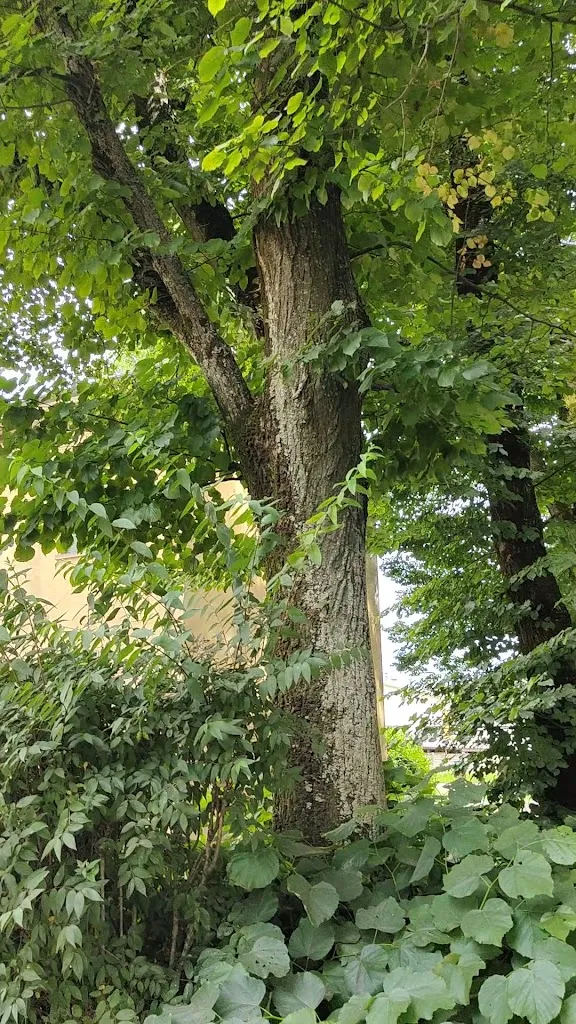 Ristorante La Cantoniera_Luzzara_slider_image_2