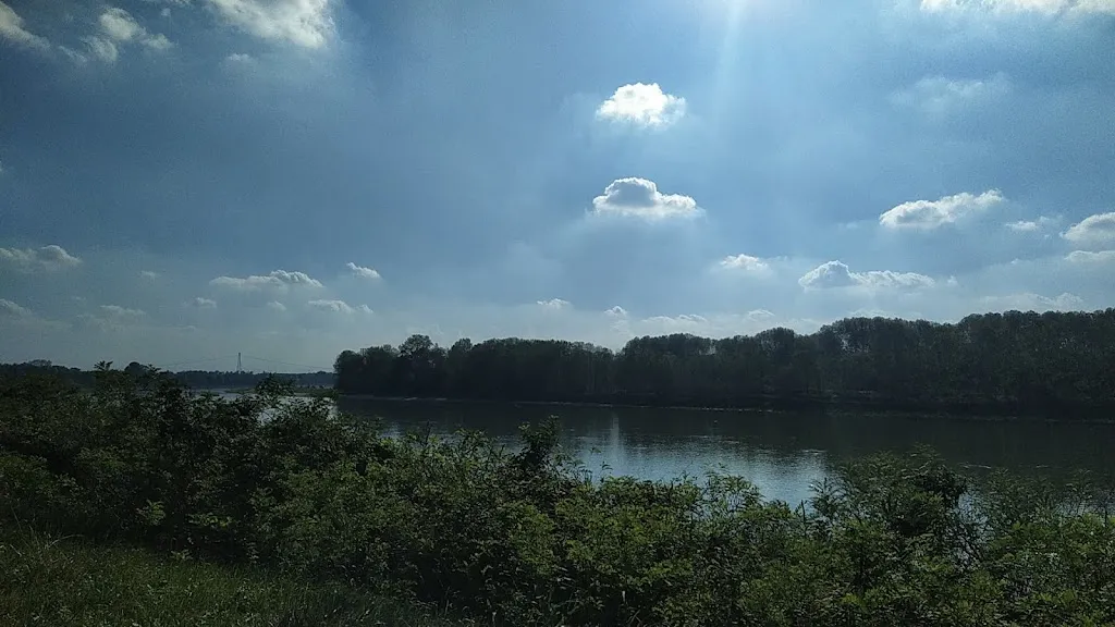 Nicola Viscera_The Bay Luzzara_Luzzara_review