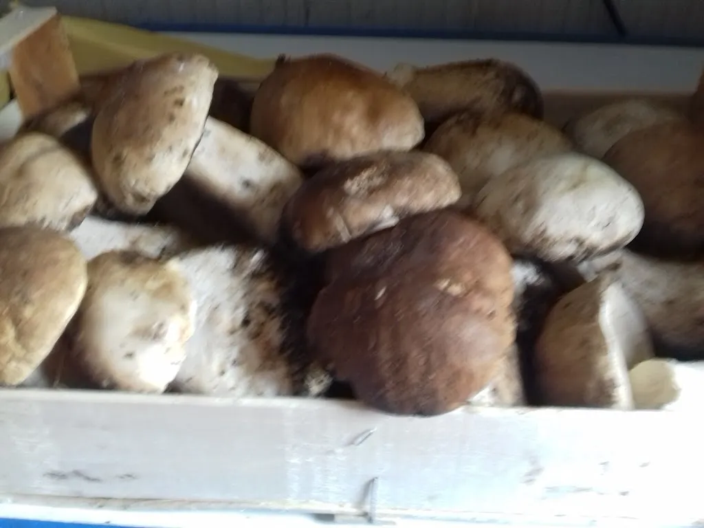 Menu_Ristorante Bar Il Maneggio_Magreta_image_4