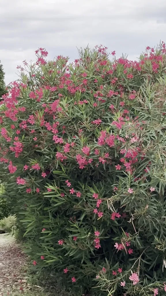 Locanda della Luna_Longiano_slider_image_2