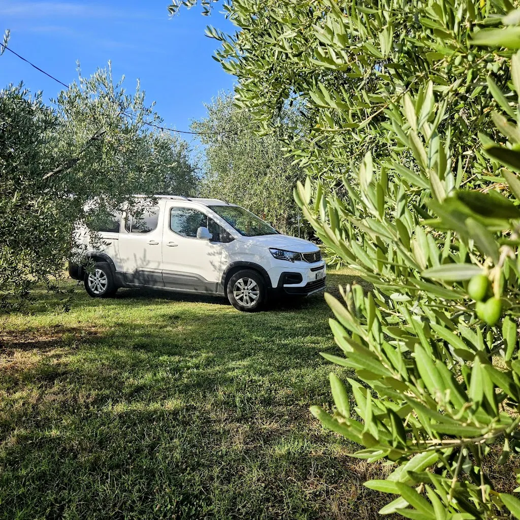 benomad_Family Farm Gobbi | Cucina e bottega agricola_Longiano_recensione