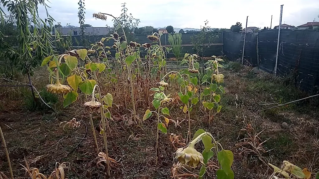 Bio Family Ranch_Longiano_slider_image_2