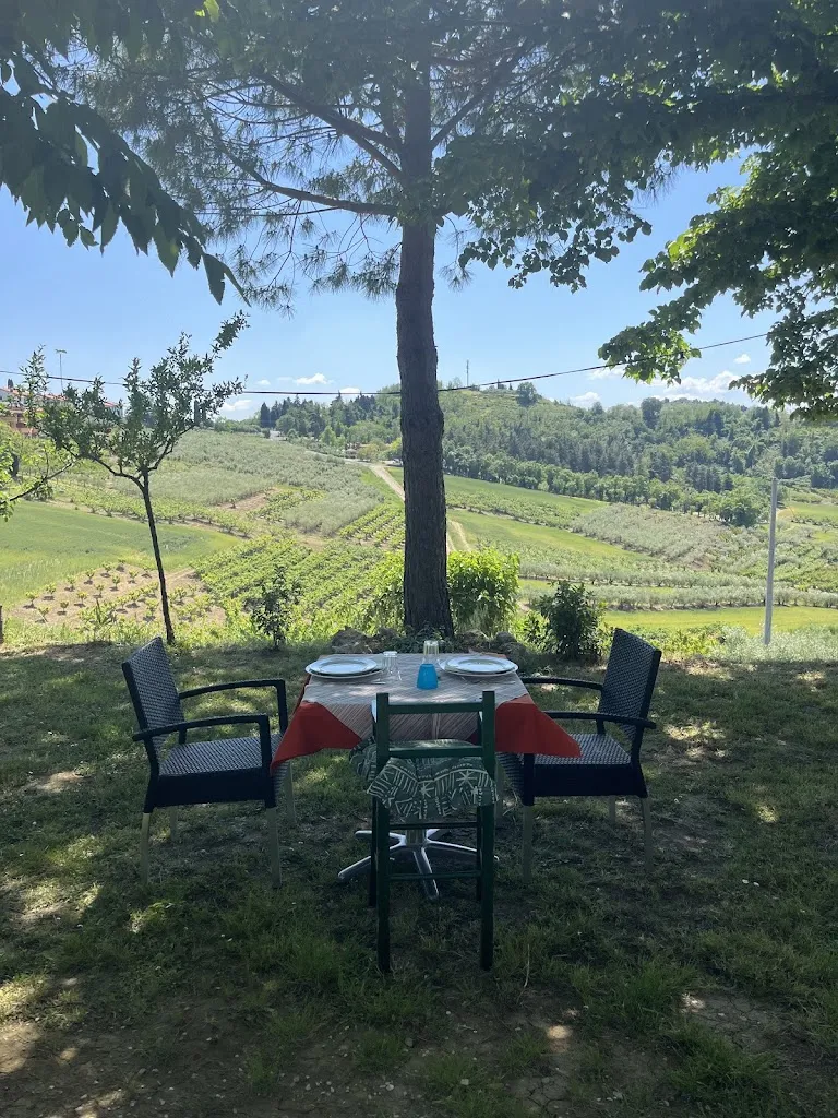 Giulia Franceschini_The Antica Fonte Cannella Farm_Longiano_Bewertung