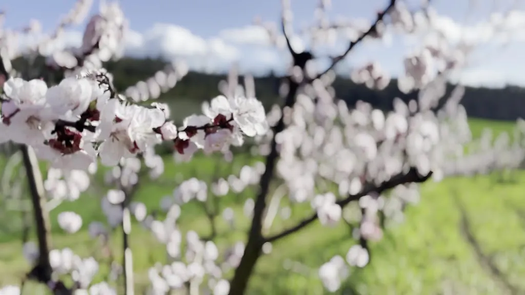 The Antica Fonte Cannella Farm_Longiano_slider_image_2