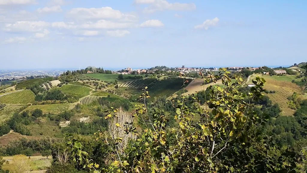 Agriturismo Divino_Longiano_slider_image_2