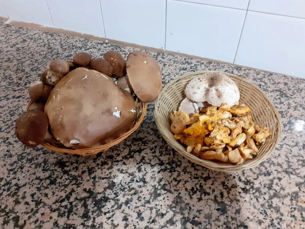 Menu_Antica trattoria Sforza_Bisegna_image_8