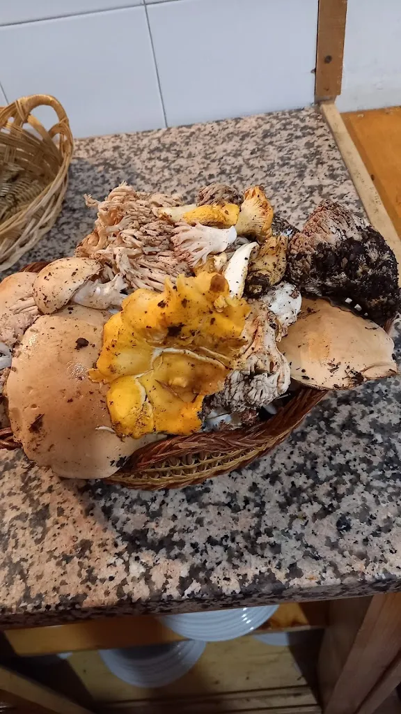 Menu_Antica trattoria Sforza_Bisegna_image_9