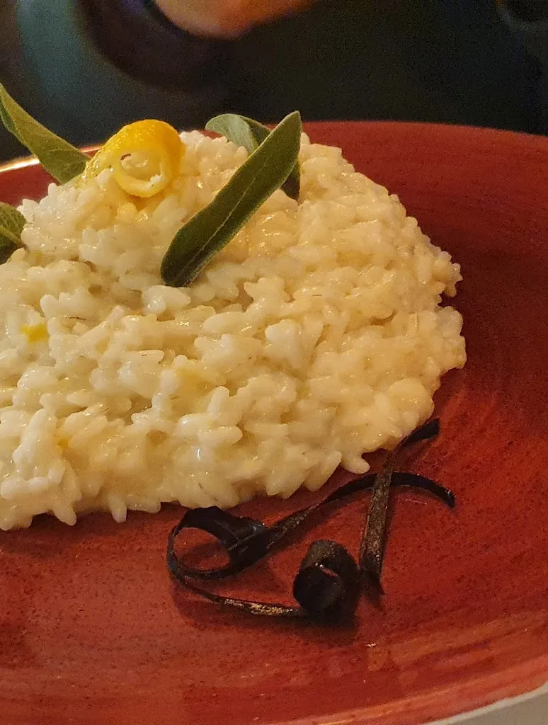 meir Cohen tsedek_Bacche di Lauro_Marano sul Panaro_review