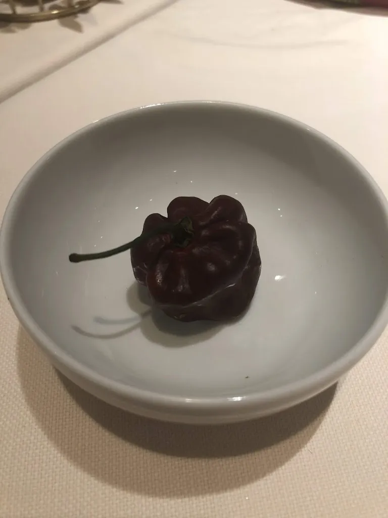 Menu_Mexico Cocina Picante_Marina di Ravenna_image_9