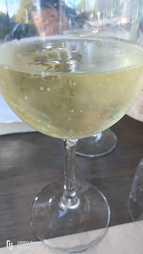 Menu_Il gatto verde_Marina di Ravenna_image_5